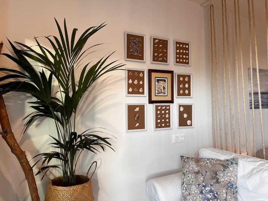 Ocean Dream Apartments - Lovely Sea View Studio Apartment 5Min From Beach San Marcos  Eksteriør billede