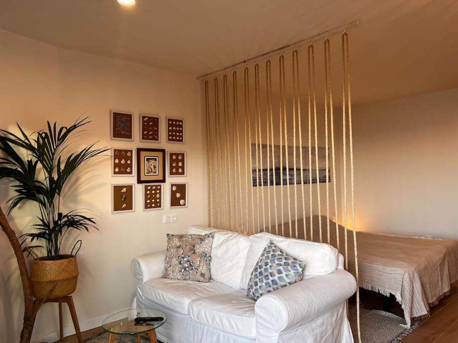 Ocean Dream Apartments - Lovely Sea View Studio Apartment 5Min From Beach San Marcos  Eksteriør billede